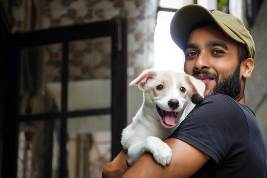 Must: Daily Care For Dog’s Eye