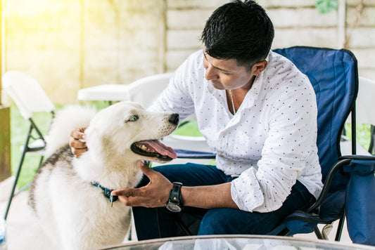 Diagnosis & Treatment Of Heartworm Disease