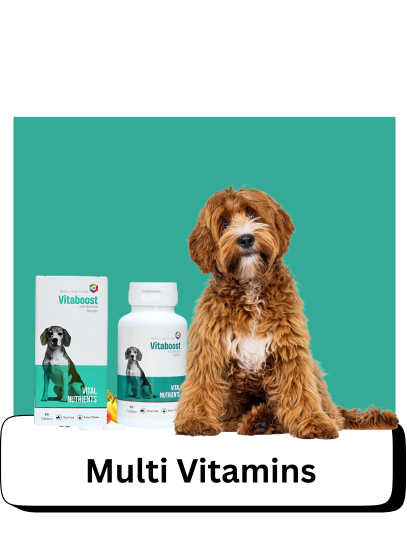 Multivitamins