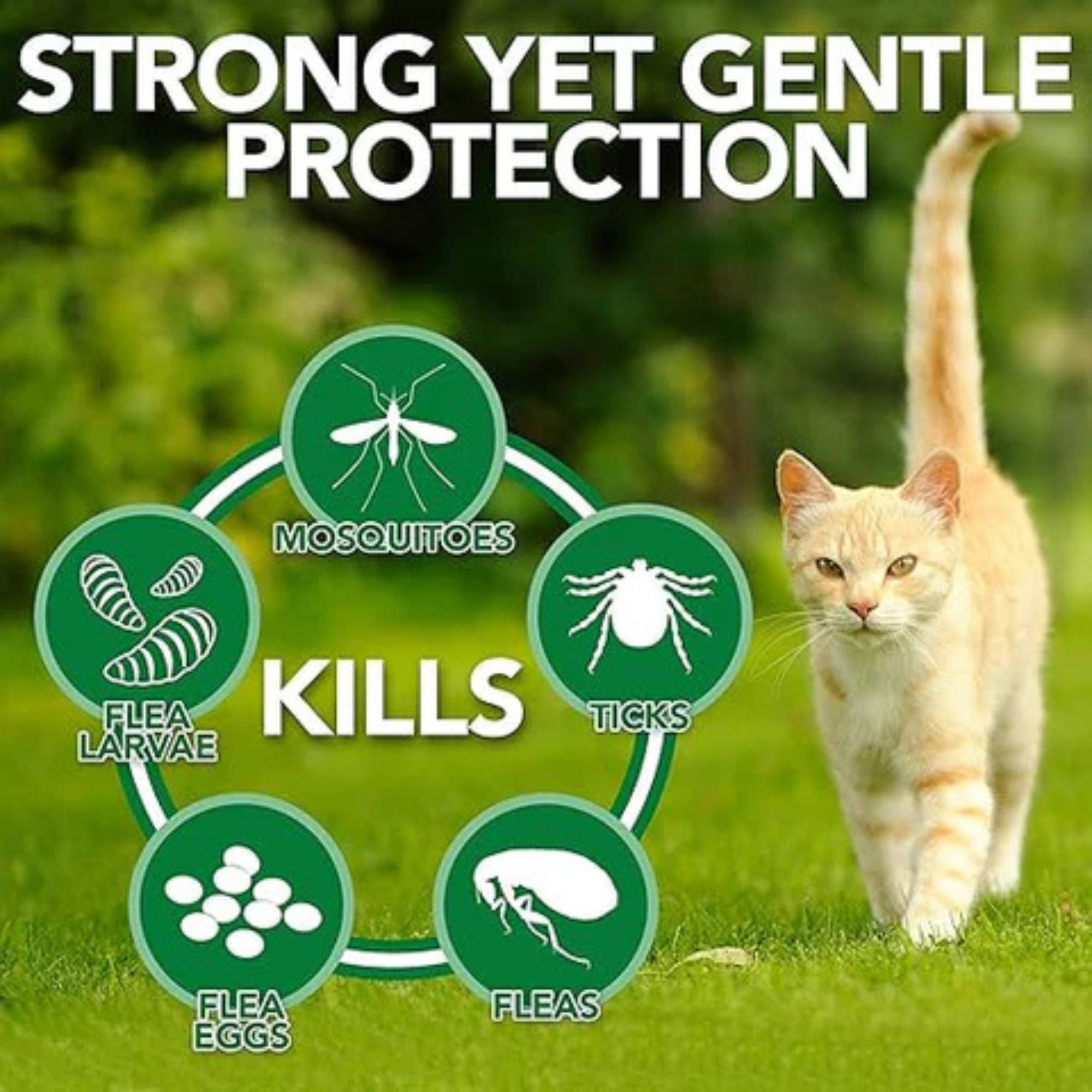 Spot On Treatment for Cats | Highly Effective Tick, Flea & Lice Prevention | Fipronil-Powered Formula for Healthy, Happy Cats & Kittens