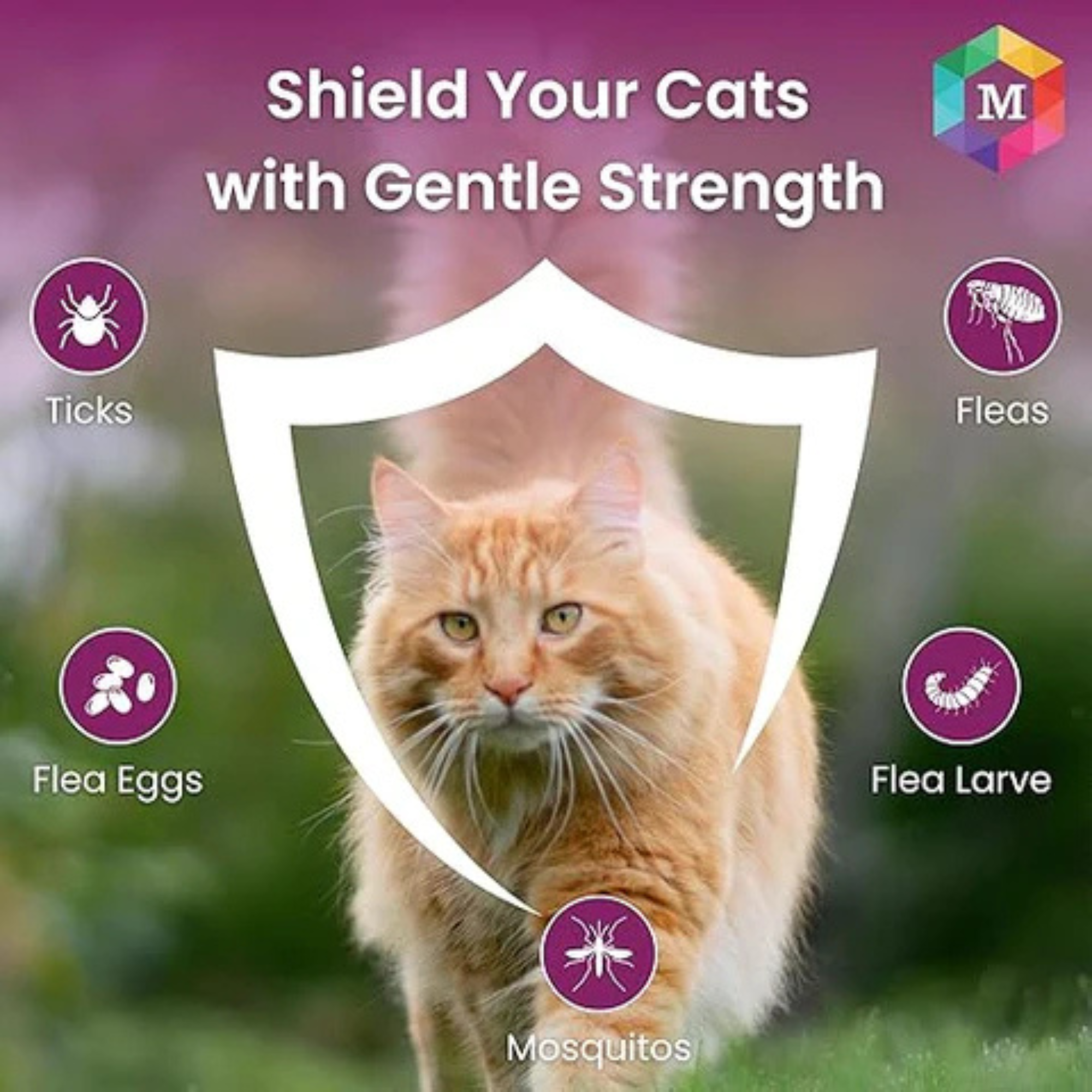 Spot On Treatment for Cats | Highly Effective Tick, Flea & Lice Prevention | Fipronil-Powered Formula for Healthy, Happy Cats & Kittens