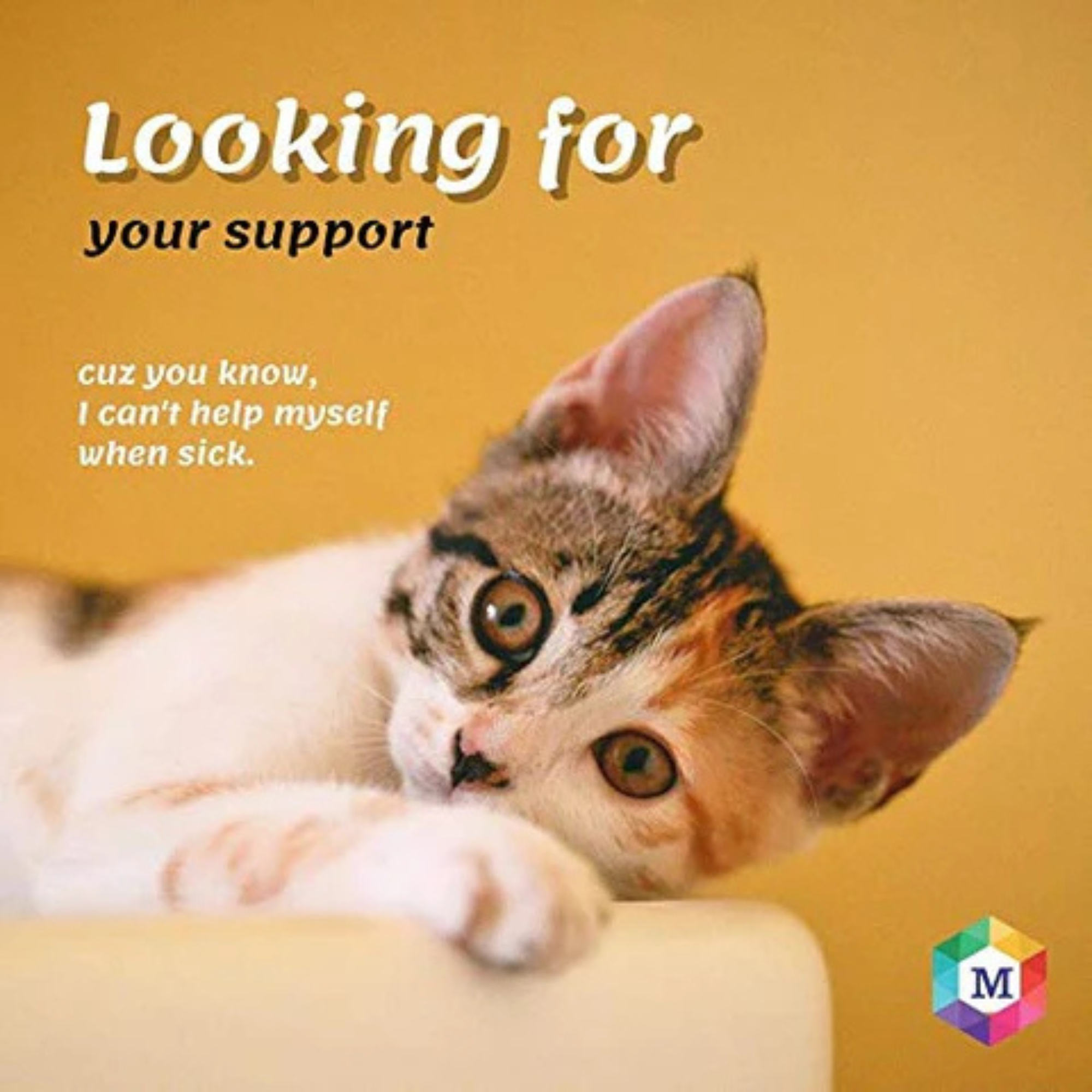 Spot On Treatment for Cats | Highly Effective Tick, Flea & Lice Prevention | Fipronil-Powered Formula for Healthy, Happy Cats & Kittens