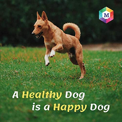 Vitaboost Multivitamins and Minerals Supplement for Dogs - Promotes Hair Loss Control, Skin & Coat Health, Faster Growth & Recovery - Pack of 60 Tablets