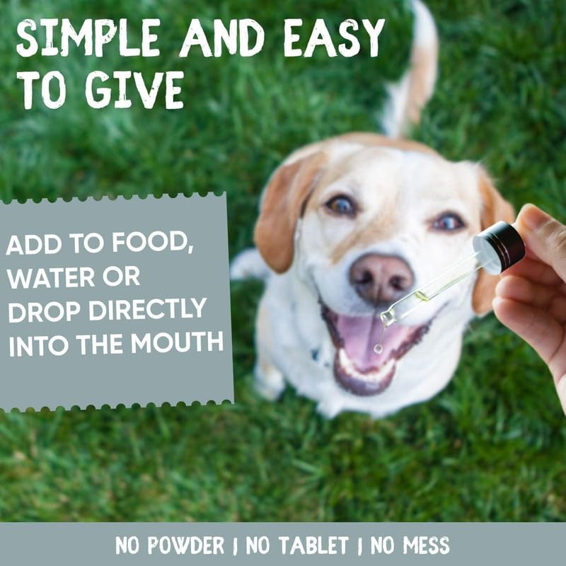 Biotin for Dogs & Cats | Collagen Supplement Drops for Healthy Skin, Coat, and Hair Growth | 50ml, Plant-Based & Fast-Acting Formula