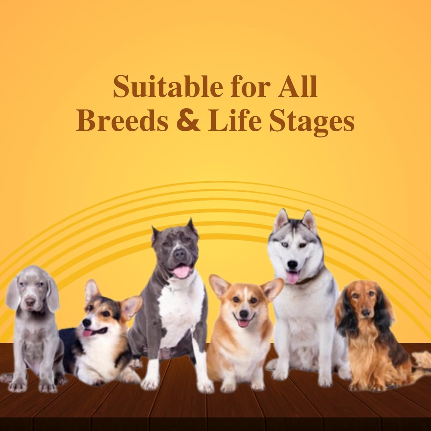 Goat Milk + Multivitamin + Colostrum (Immunity Booster) for Dogs | Essentials Vitamins & Minerals for Immunity Booster, Bones, Skin, Hair & Gut Health for Dogs - Pack of 15 Sachets