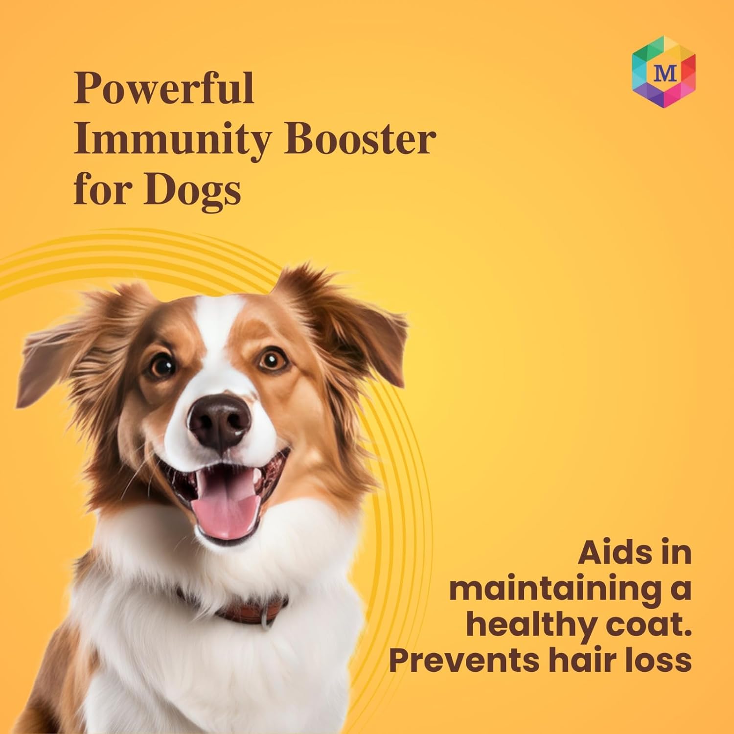Goat Milk + Multivitamin + Colostrum (Immunity Booster) for Dogs | Essentials Vitamins & Minerals for Immunity Booster, Bones, Skin, Hair & Gut Health for Dogs - Pack of 15 Sachets