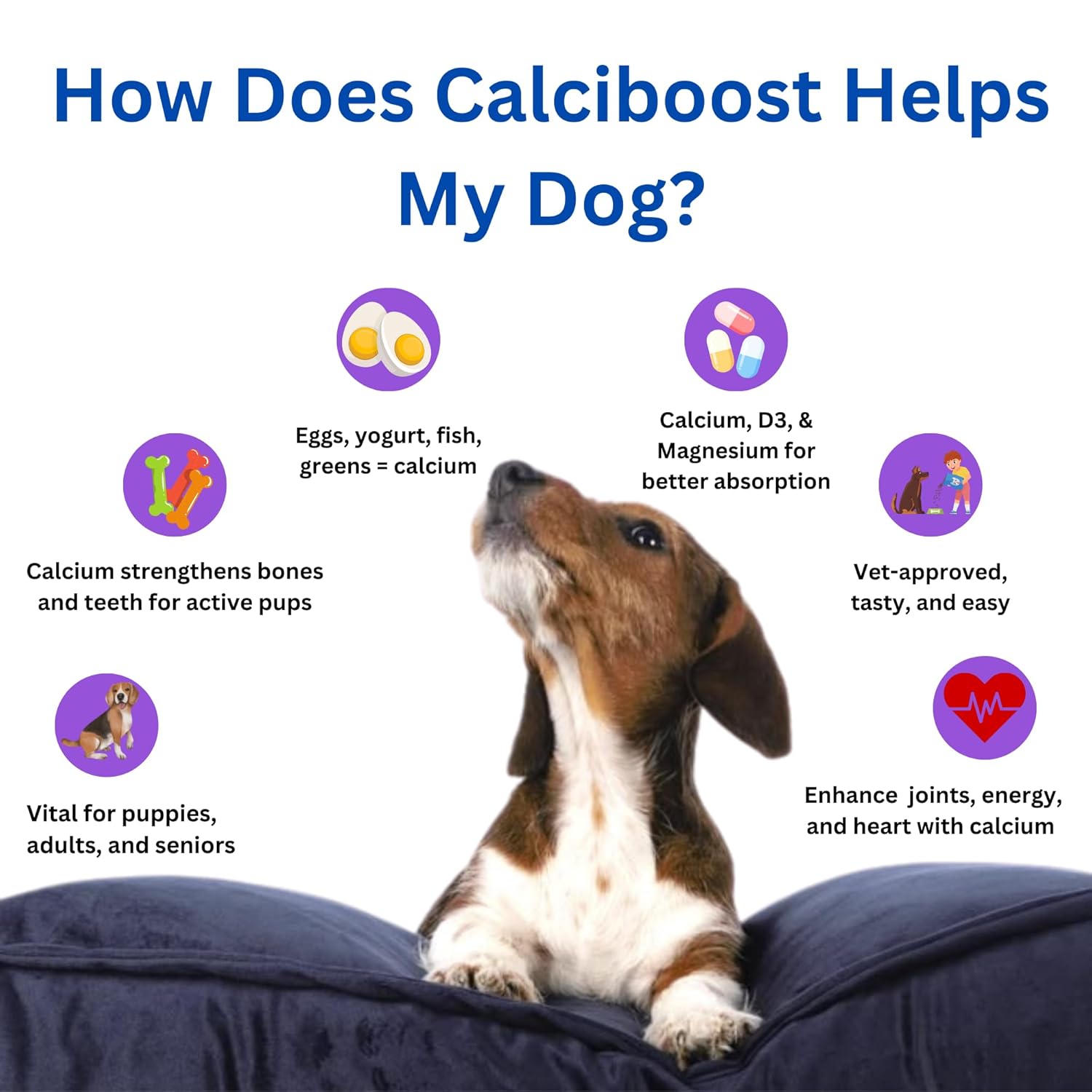 Dog Calcium Tablets – 60 Count | Calcium Supplement for Dogs | Supports Strong Bones & Teeth | Promotes Joint Health | Easy-to-Feed, Highly Palatable Supplement for Dogs