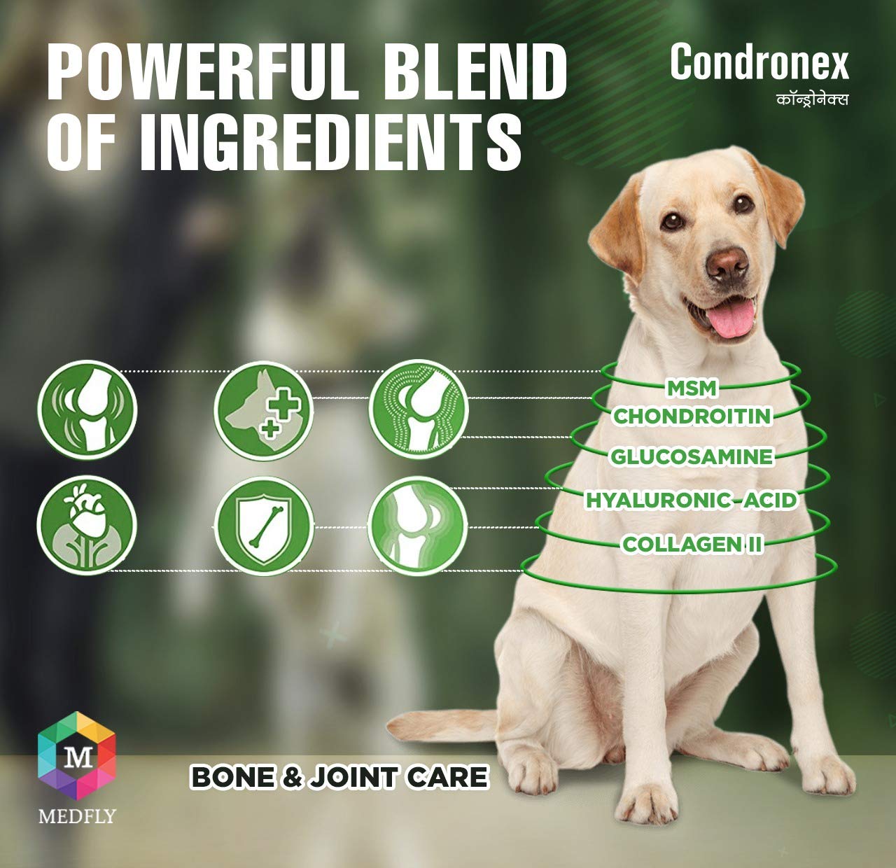 Condronex Pro Joint and Cartilage | Hip, Joints Supplement for Dogs & Cats | Suitable for All Breeds - 30 Tablets