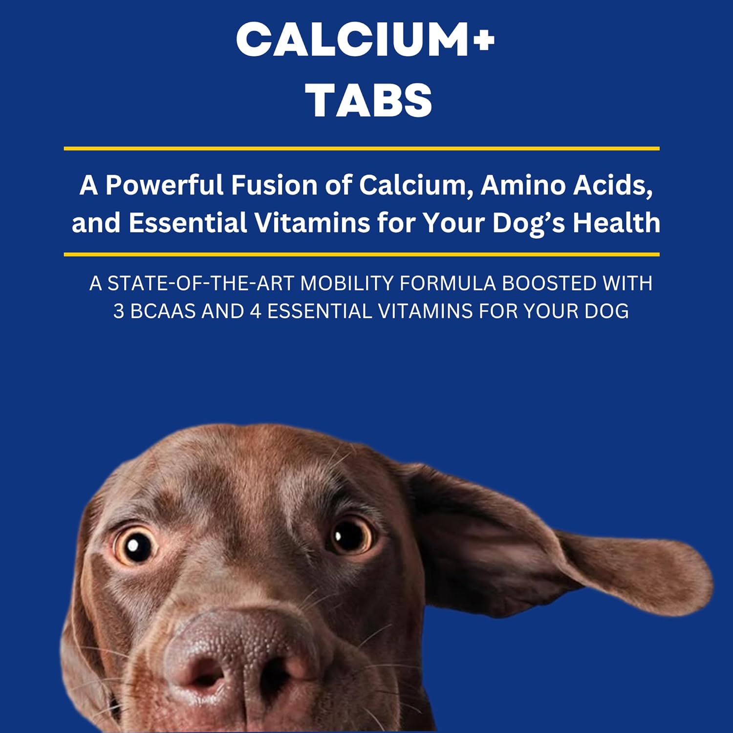Dog Calcium Tablets – 60 Count | Calcium Supplement for Dogs | Supports Strong Bones & Teeth | Promotes Joint Health | Easy-to-Feed, Highly Palatable Supplement for Dogs