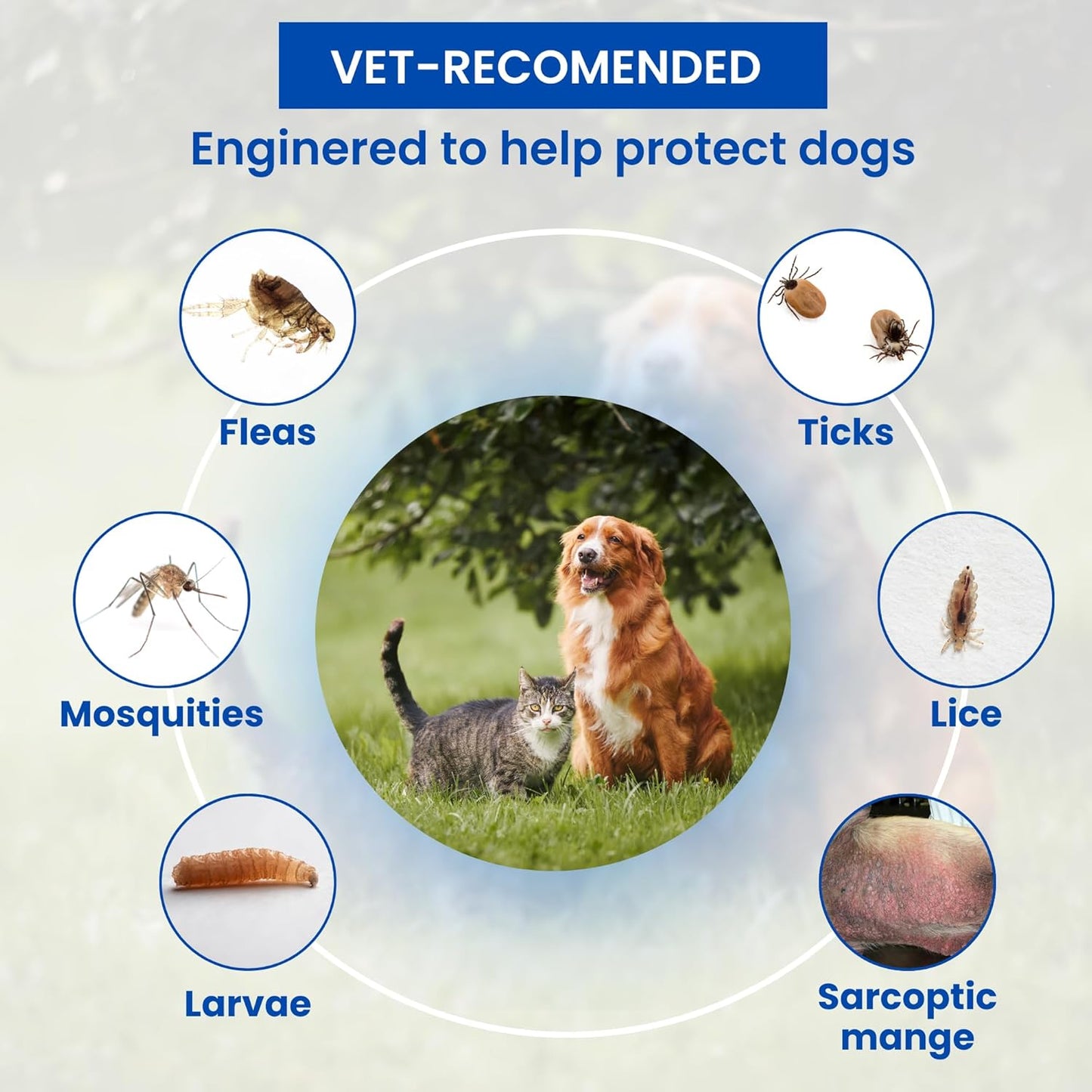 Parashield Spray (100ML) for Ticks and Fleas | Fast Acting, Long Lasting - Effective Spray for Dogs and Cats| Powered by Fipronil for Strong, Enduring Defense