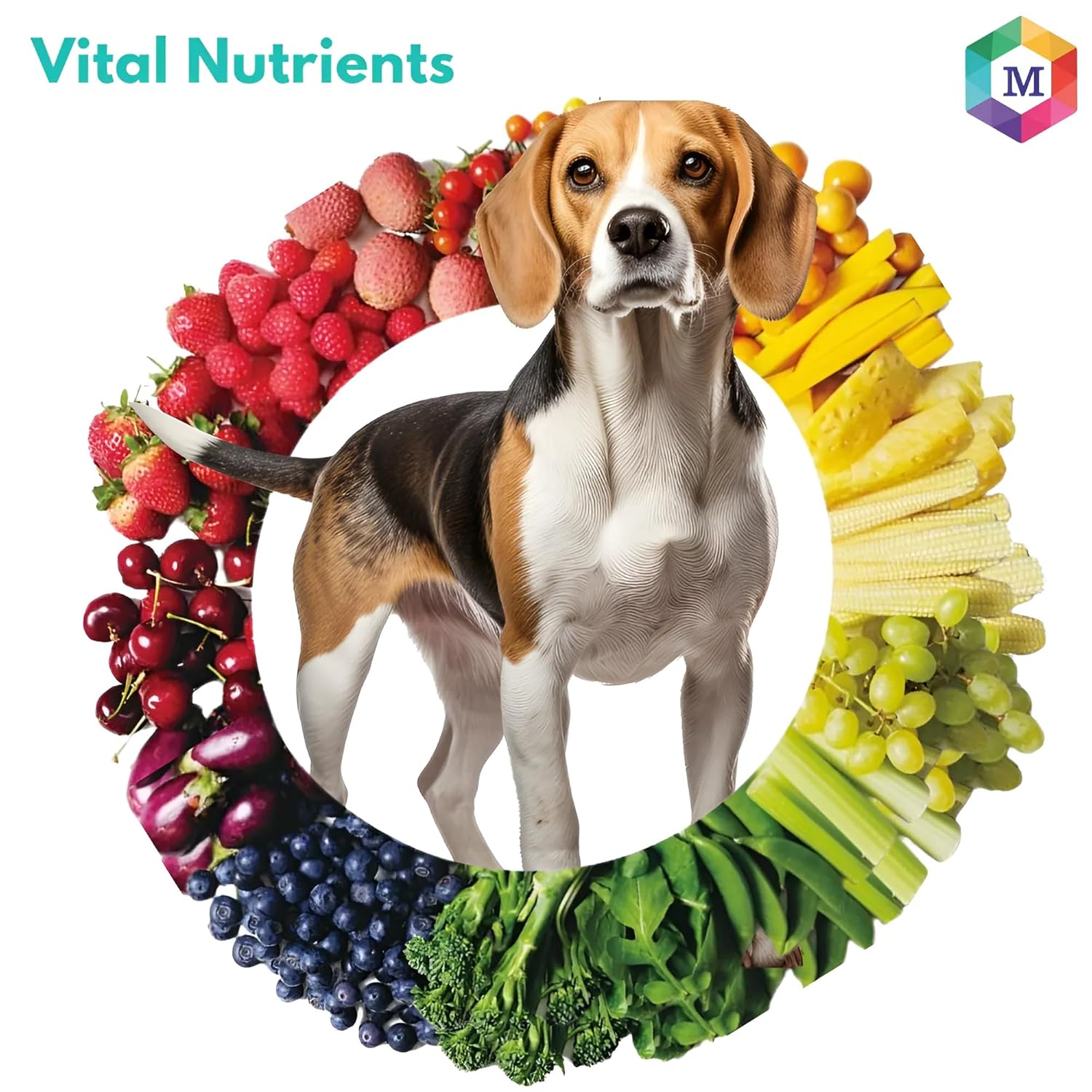 Vitaboost Multivitamins and Minerals Supplement for Dogs - Promotes Hair Loss Control, Skin & Coat Health, Faster Growth & Recovery - Pack of 60 Tablets