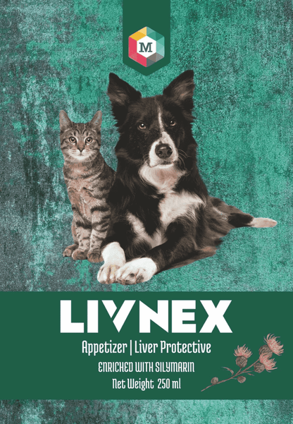 LivNex Syrup