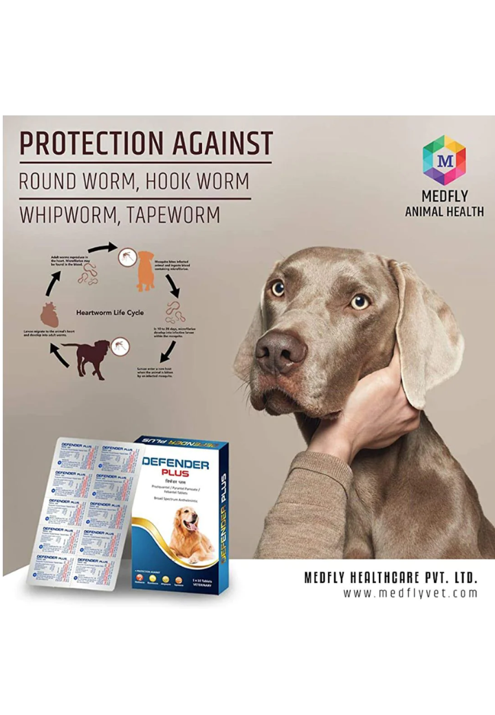 Medfly Healthcare Defender Plus for Dogs