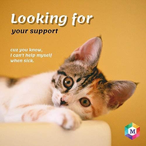 Spot On Treatment for Cats (Pack of 2) | Fipronil Formula for Effective Tick, Flea, and Lice Prevention | Keeps Cats and Kittens Healthy and Happy