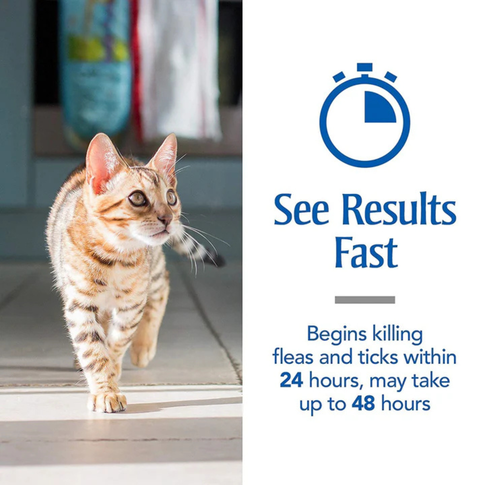 Spot On Treatment for Cats | Highly Effective Tick, Flea & Lice Prevention | Fipronil-Powered Formula for Healthy, Happy Cats & Kittens