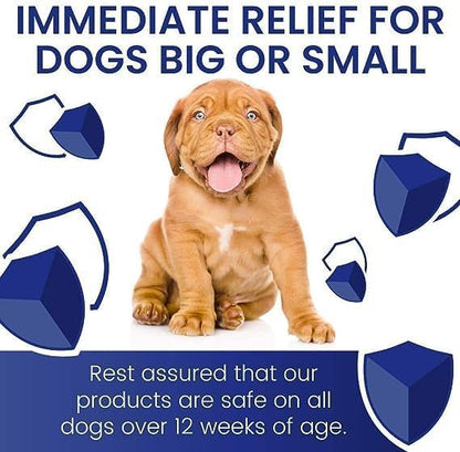 Parashield Spray (100ML) for Ticks and Fleas | Fast Acting, Long Lasting - Effective Spray for Dogs and Cats| Powered by Fipronil for Strong, Enduring Defense