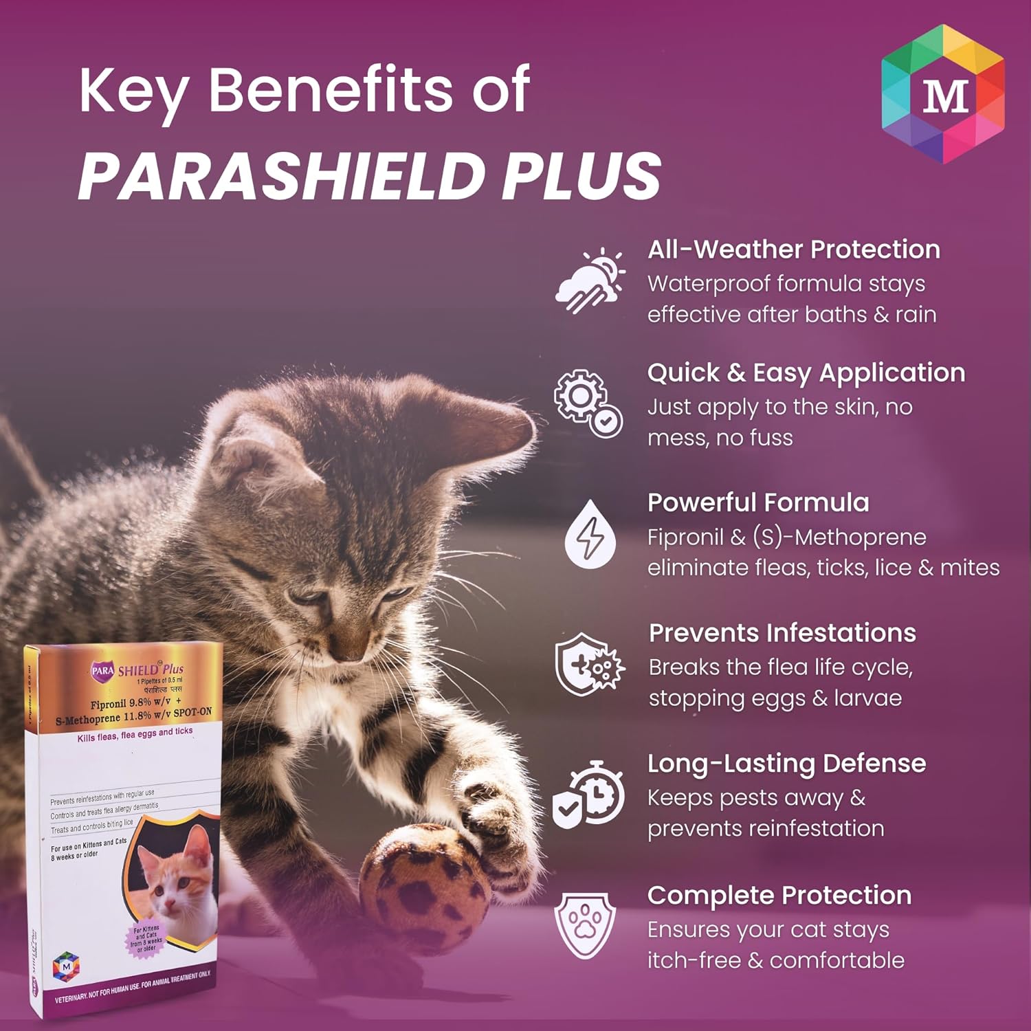 Spot On Treatment for Cats (Pack of 2) | Fipronil Formula for Effective Tick, Flea, and Lice Prevention | Keeps Cats and Kittens Healthy and Happy