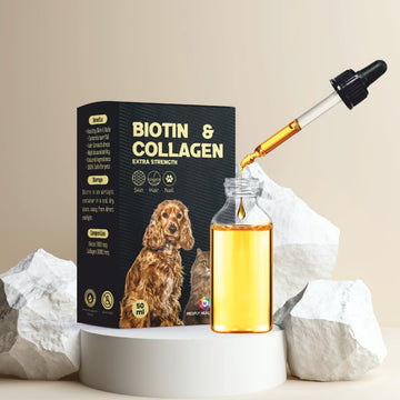 Medfly Biotin & Collagen