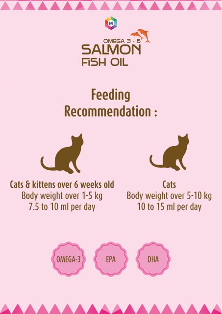 Salmon Oil for Cats