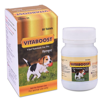 Vitaboost - 60 Tablets