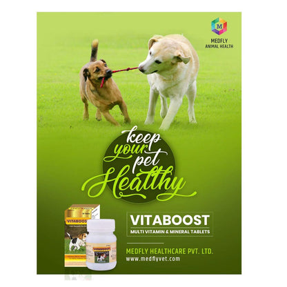 Vitaboost - 60 Tablets